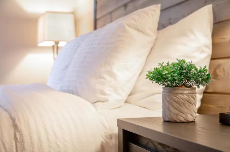 Modern Westshore Apartment Tampa Esterno foto