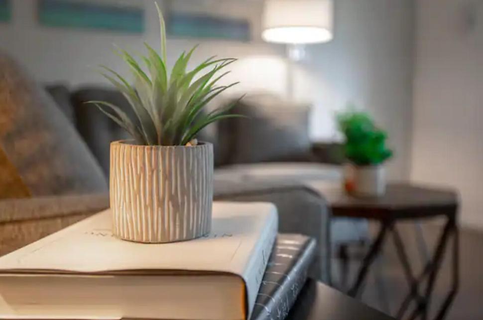 Modern Westshore Apartment Tampa Esterno foto